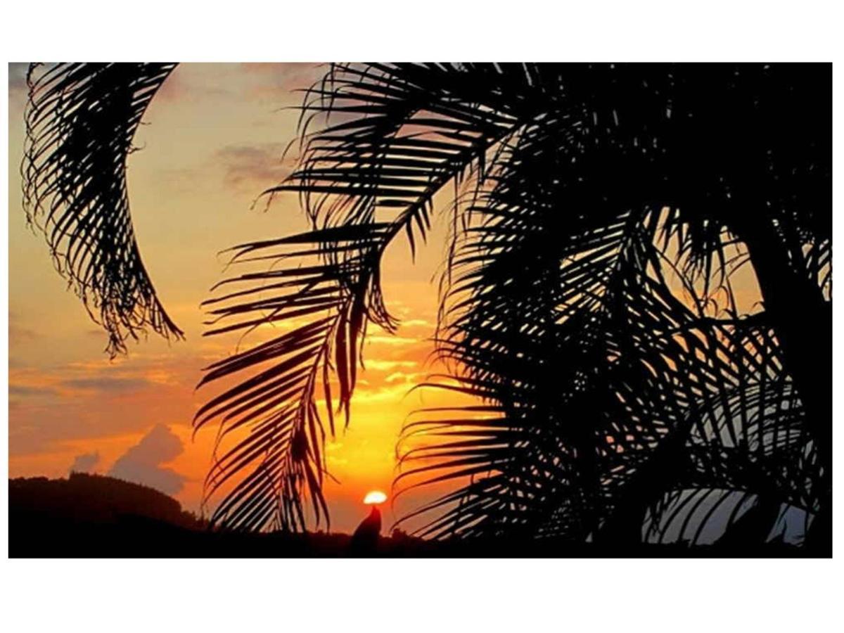 Adventure In Paradise Haiku Exterior photo