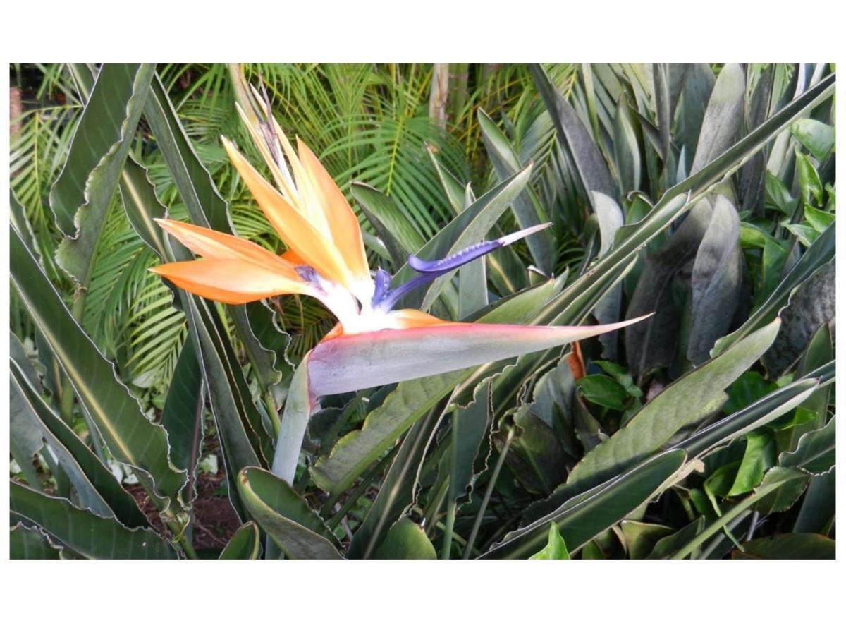 Adventure In Paradise Haiku Exterior photo